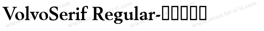 VolvoSerif Regular字体转换